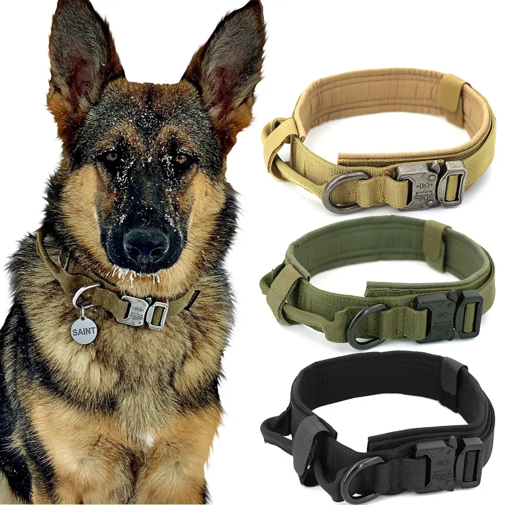 Dog Collar Elvallo