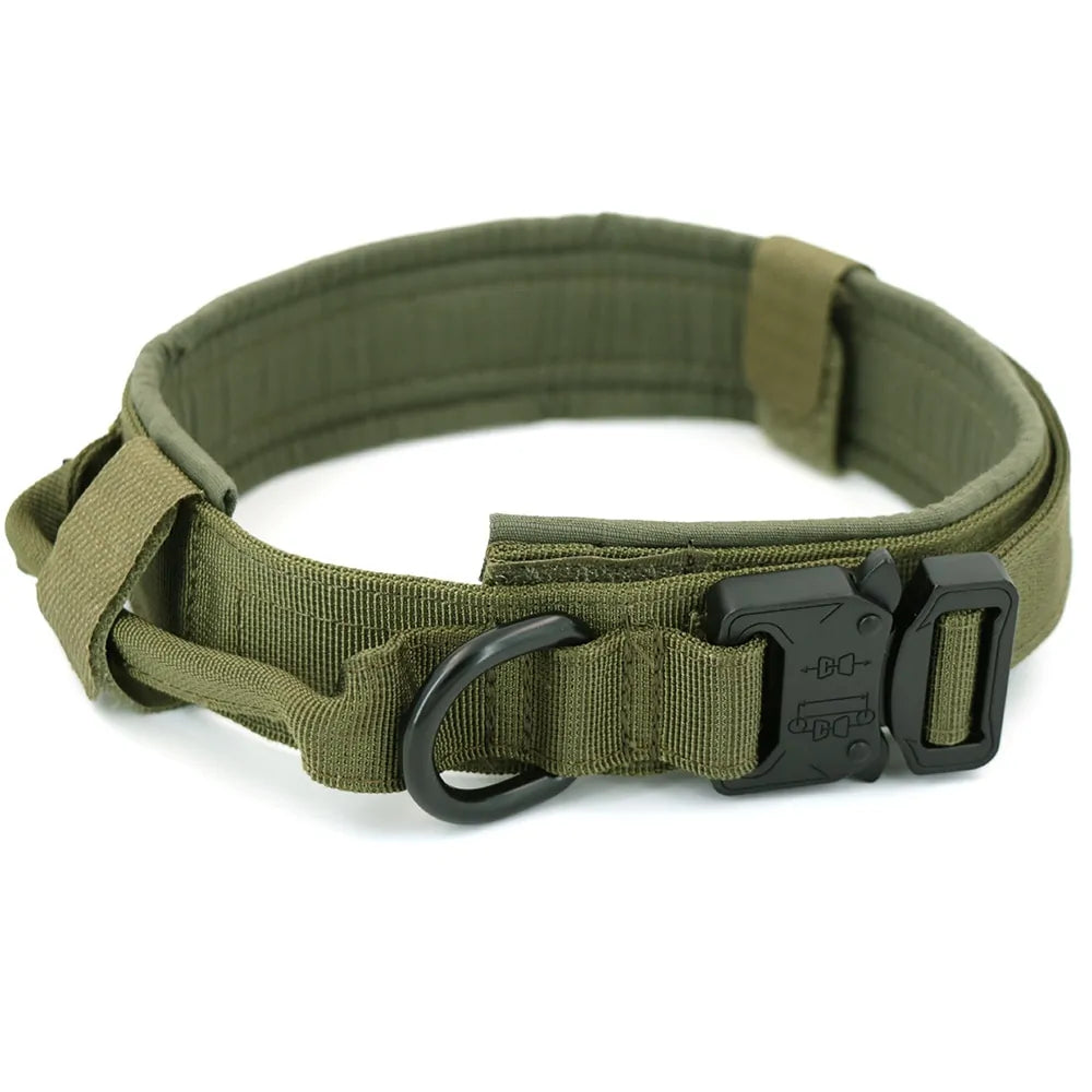 Dog Collar Elvallo