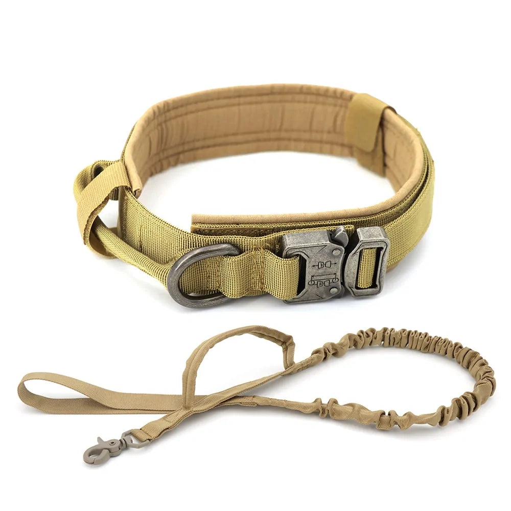 Dog Collar Elvallo