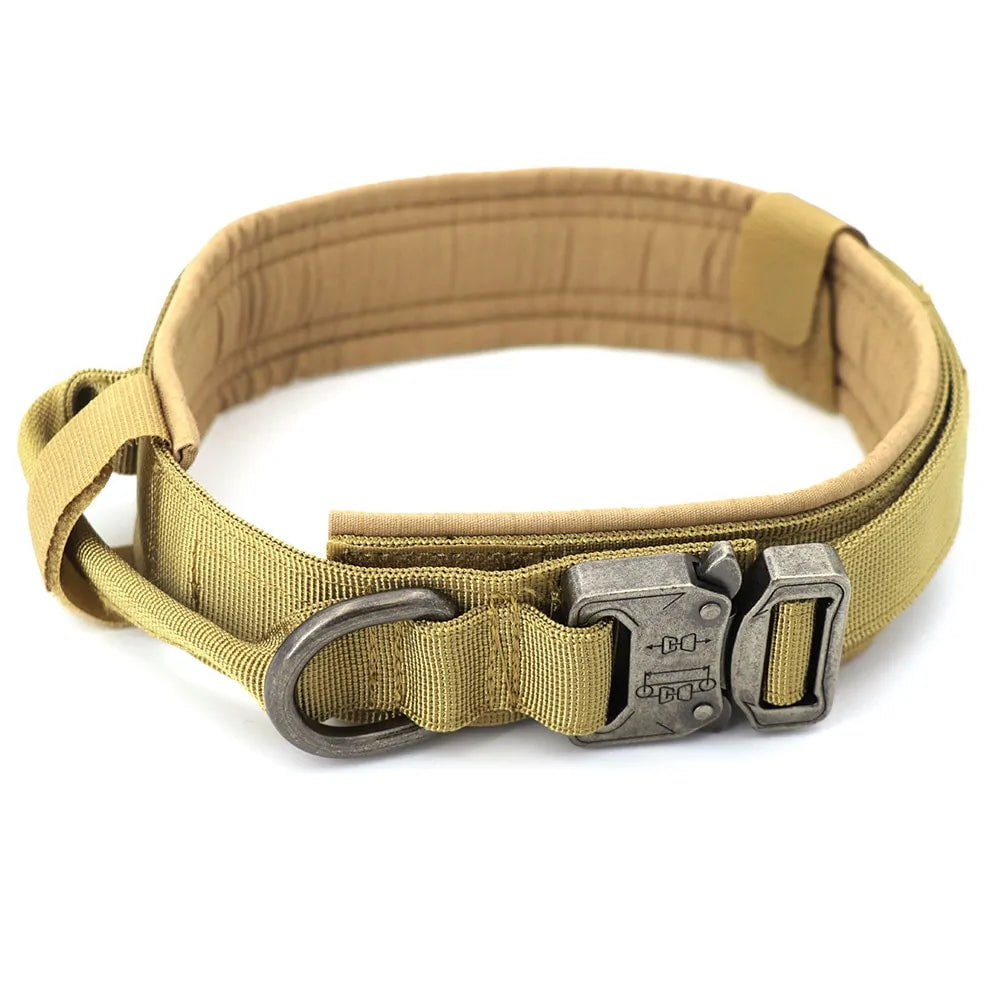 Dog Collar Elvallo