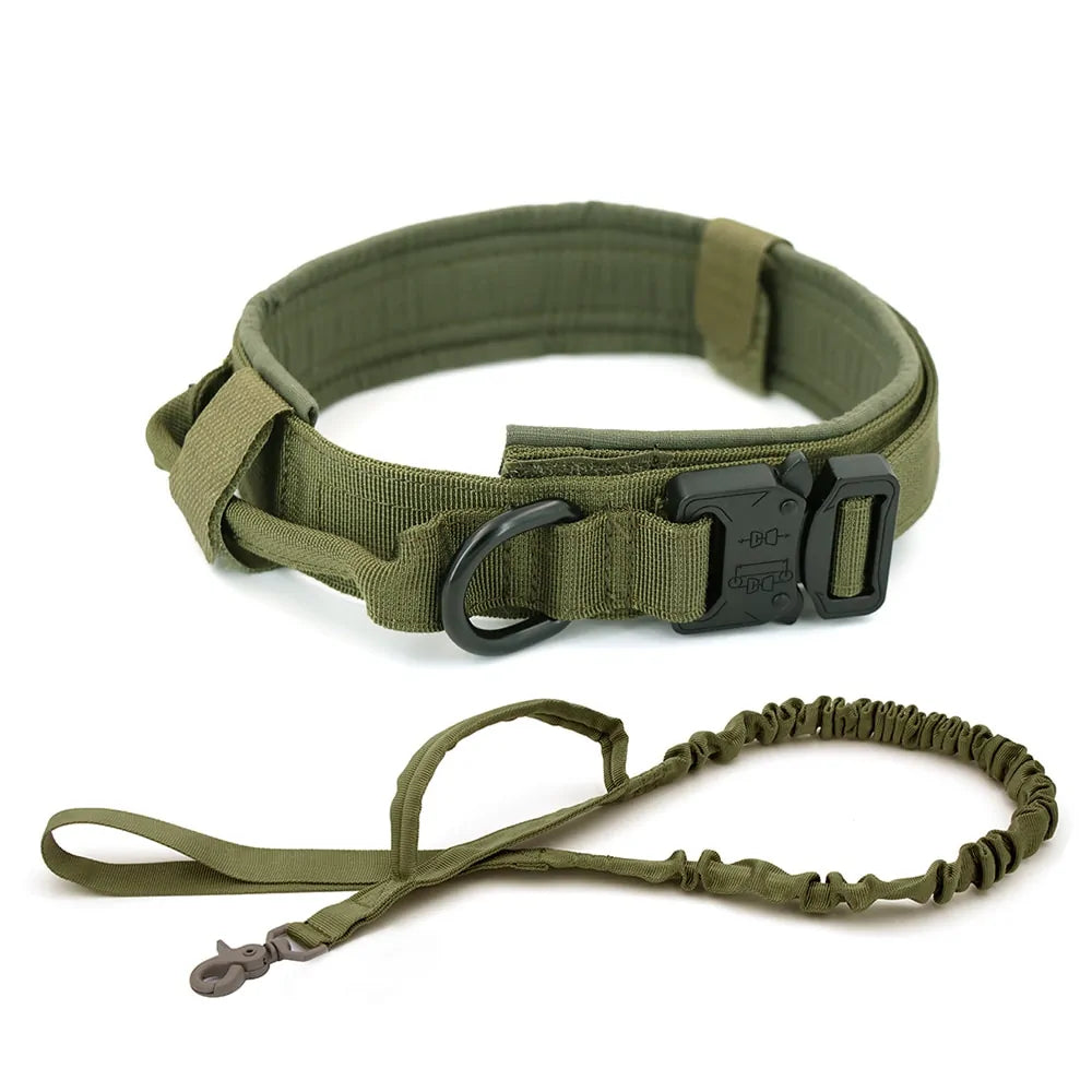 Dog Collar Elvallo