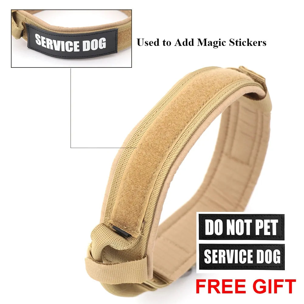 Dog Collar Elvallo