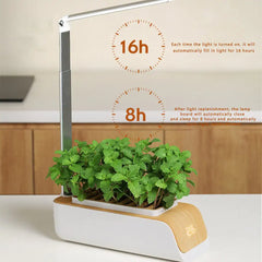 Smart Flower Pot Elvallo