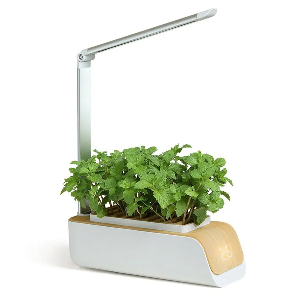 Smart Flower Pot Elvallo